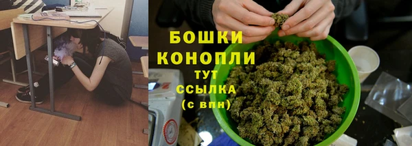 винт Козельск