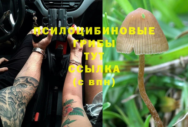 синтетический гашиш Кодинск