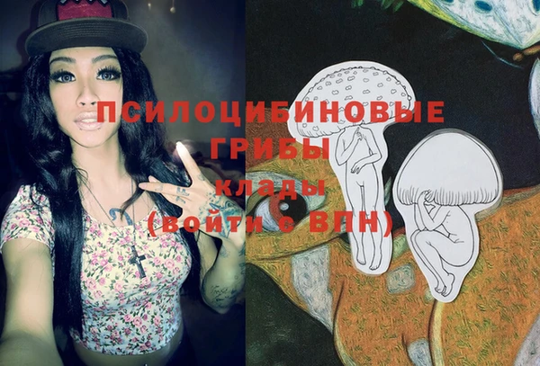 крисы Пенза