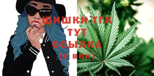 винт Козельск