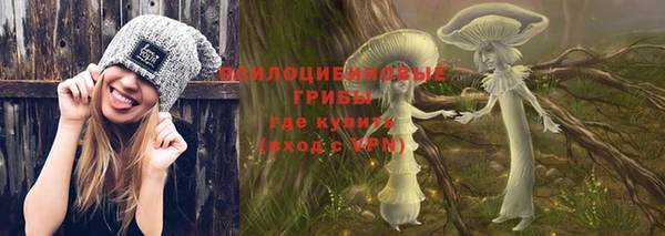 скорость Козловка