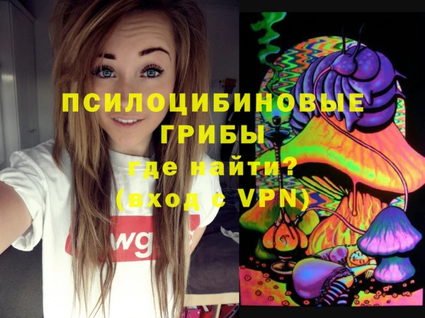скорость Козловка