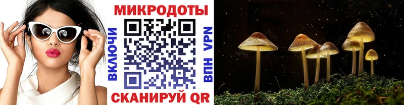 Псилоцибиновые грибы MAGIC MUSHROOMS  Купить закладки  Лесозаводск 