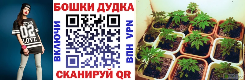 Купить закладки  Лесозаводск  Бошки марихуана LSD WEED 